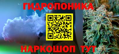 гидропоника Кунгур